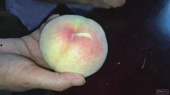 蜜桃熟了在线观看视频,一场青春的甜蜜邂逅