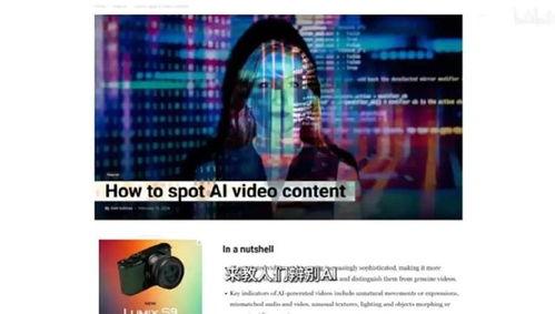 网络热门视频,揭秘网络热门视频背后的秘密