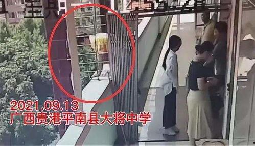 体验跳跳蛋过程视频,一场刺激的感官之旅