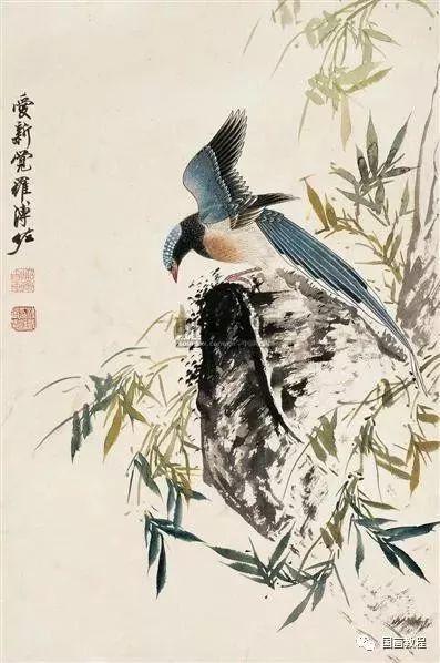 国画画鸟视频教程,从入门到精通的绘画艺术之旅