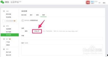 微信看视频的公众号,解锁精彩内容的新窗口