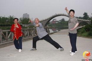 岳家枪教学视频,传承千年的武术瑰宝揭秘