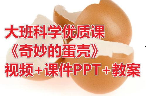 蛋壳视频,揭秘短视频时代的魅力与挑战