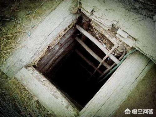 红薯地窖建法视频,传统与现代结合的储藏智慧