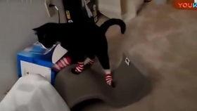 穿袜子视频,揭秘日常生活中的小技巧