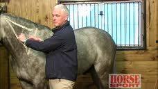 打针屁股视频,揭秘打针屁股视频背后的温馨瞬间